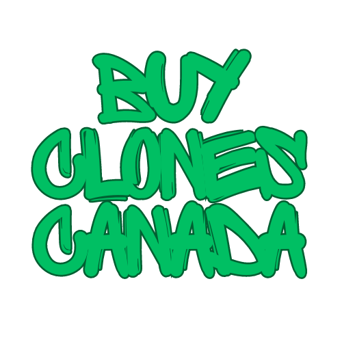 Buy Clones Canada