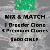 buy clones canada mix and match breeder premium clones