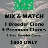 buy clones canada mix and match breeder premium extra clones