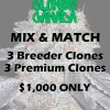 buy clones canada mix and match premium breeder clones